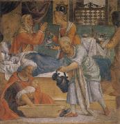 LUINI, Bernardino Birth Maria Sweden oil painting artist